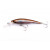 51808011-
			№11<br>Brown Trout